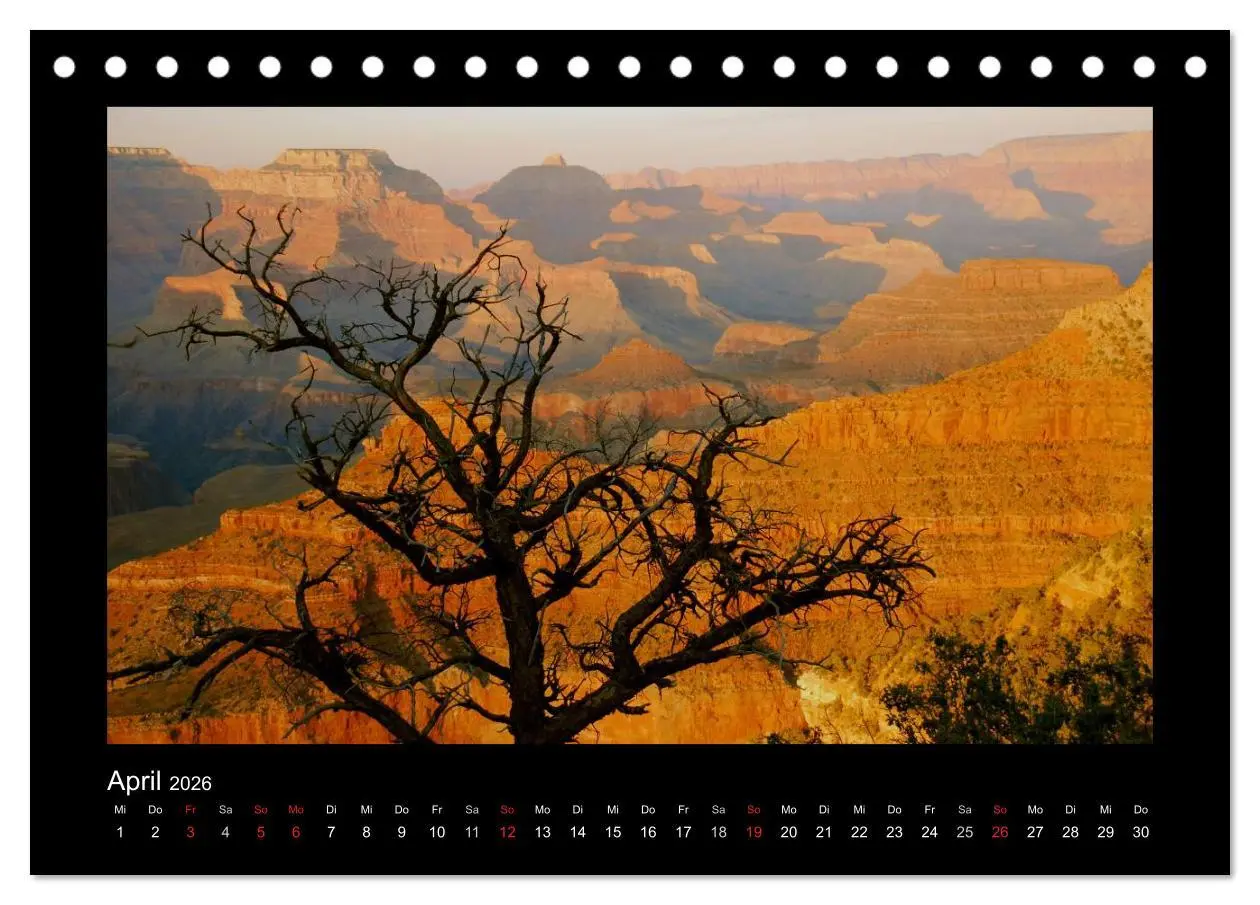 Bild: 9783516098488 | Amerika - Arizona und andere Schönheiten (Tischkalender 2026 DIN A5...