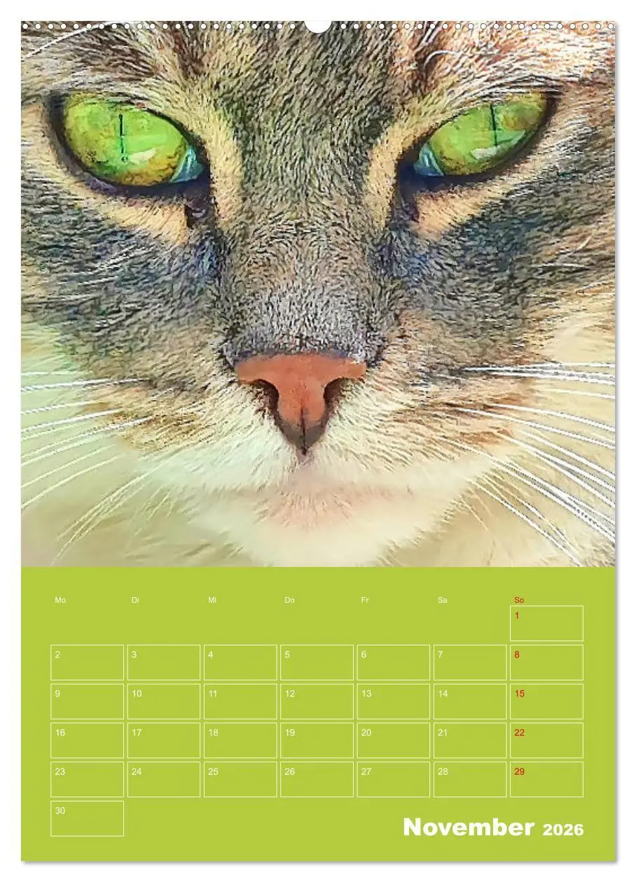 Bild: 9783516308488 | Cat Faces - Charakterstarke Katzengesichter ganz nah (Wandkalender...