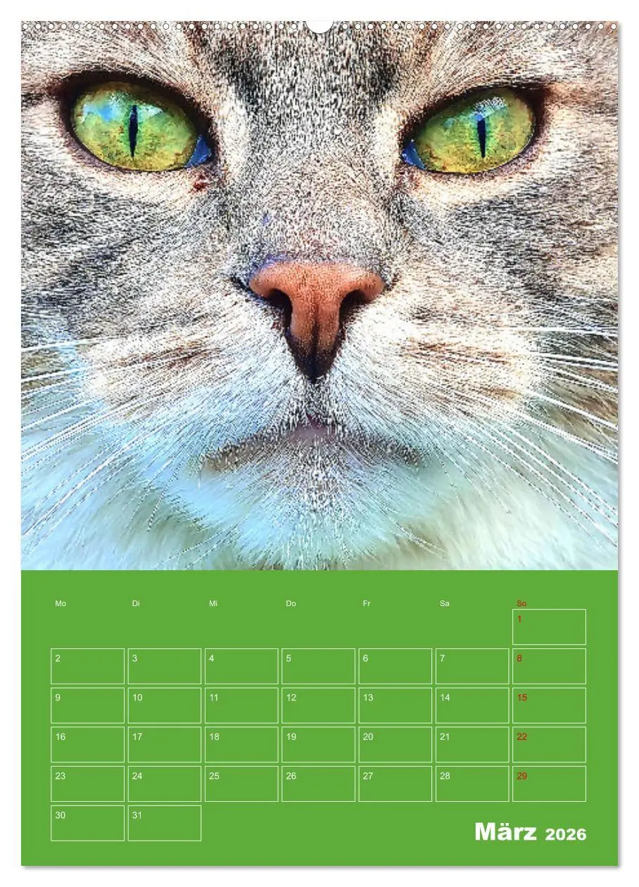 Bild: 9783516308488 | Cat Faces - Charakterstarke Katzengesichter ganz nah (Wandkalender...