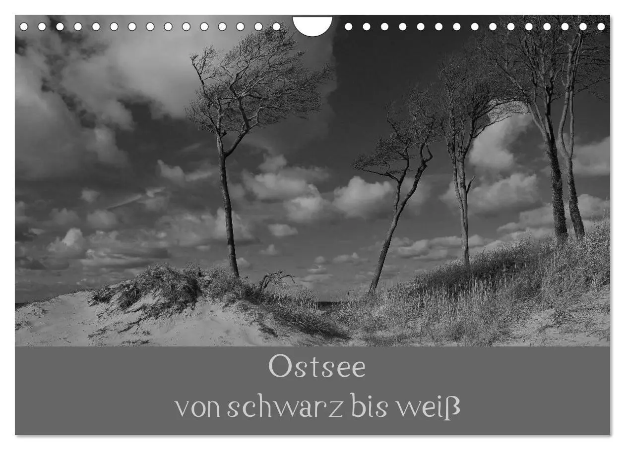 Cover: 9783516228588 | Ostsee - von schwarz bis weiß (Wandkalender 2026 DIN A4 quer),...