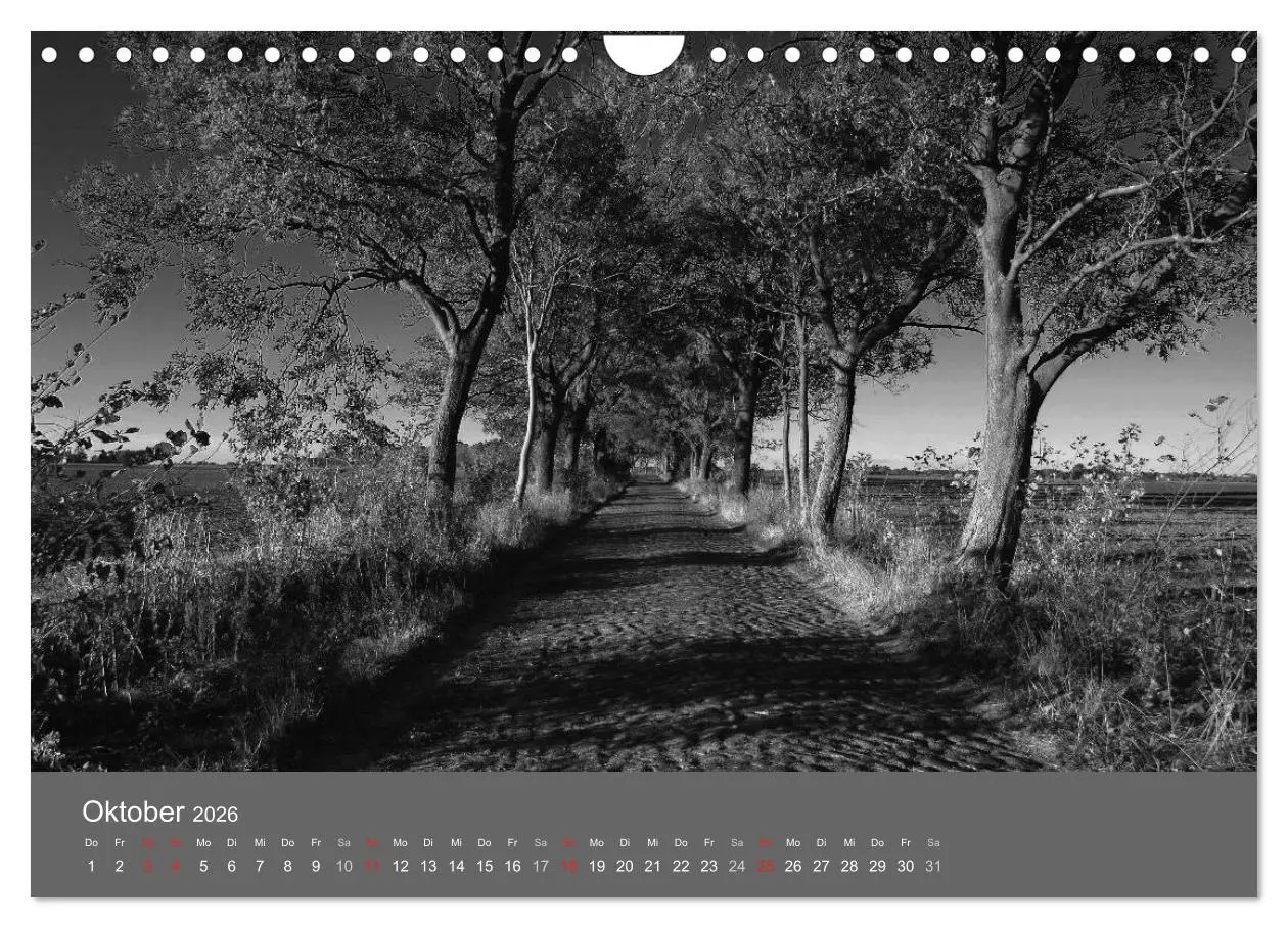 Bild: 9783516228588 | Ostsee - von schwarz bis weiß (Wandkalender 2026 DIN A4 quer),...