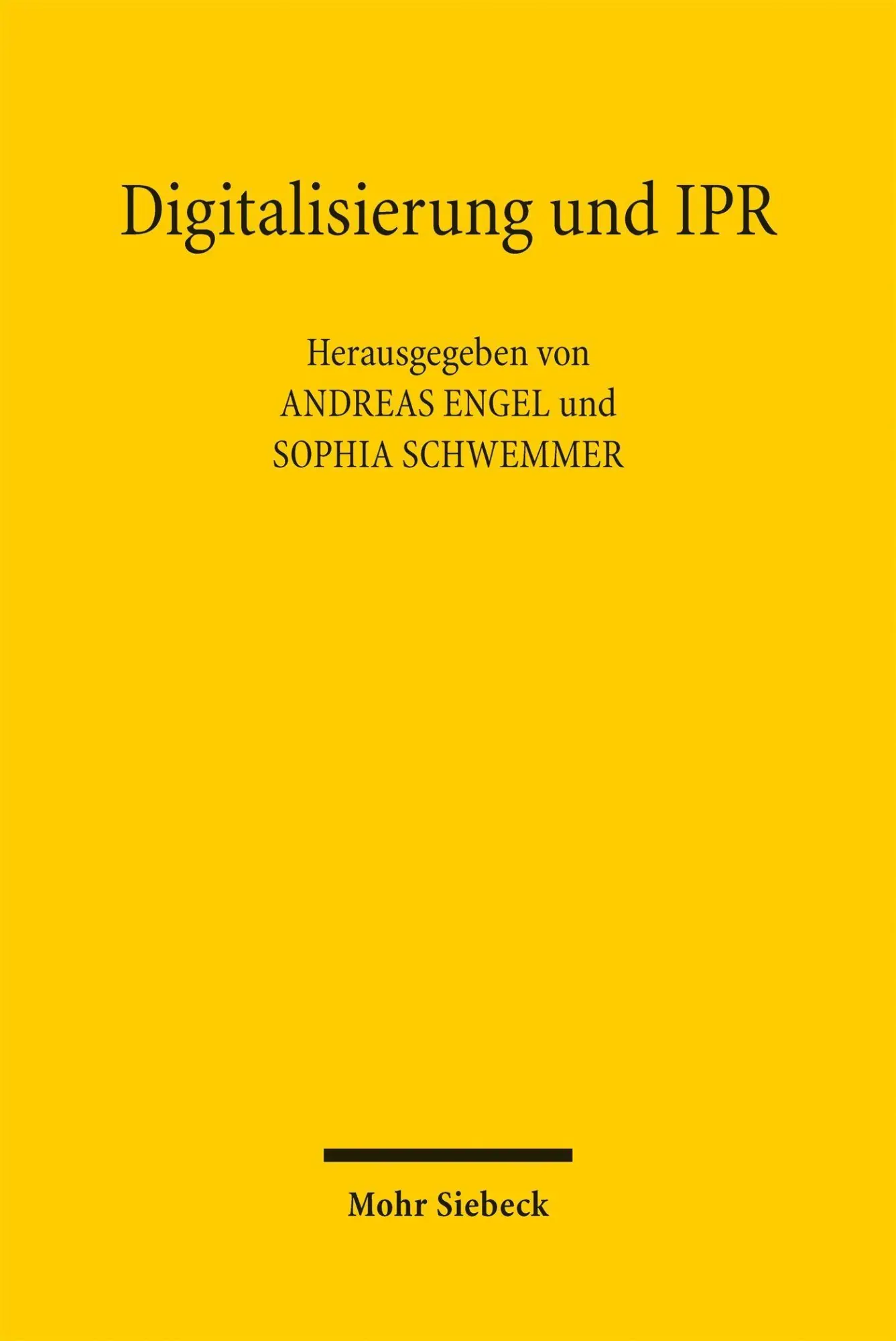 Cover: 9783161638688 | Digitalisierung und IPR | Lokale Verbindungen in grenzenlosen Räumen