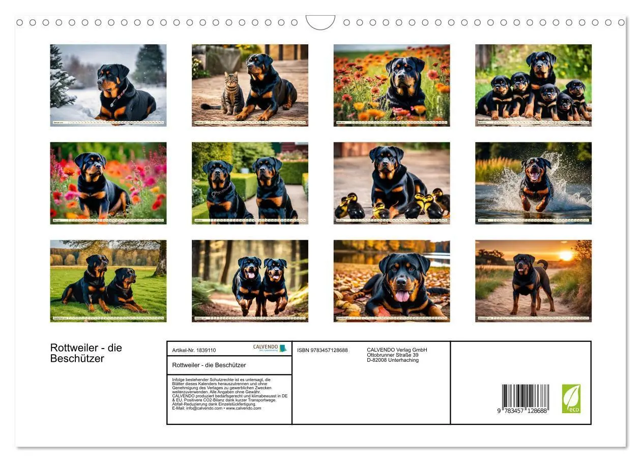 Bild: 9783457128688 | Rottweiler - die Beschützer (Wandkalender 2025 DIN A3 quer),...