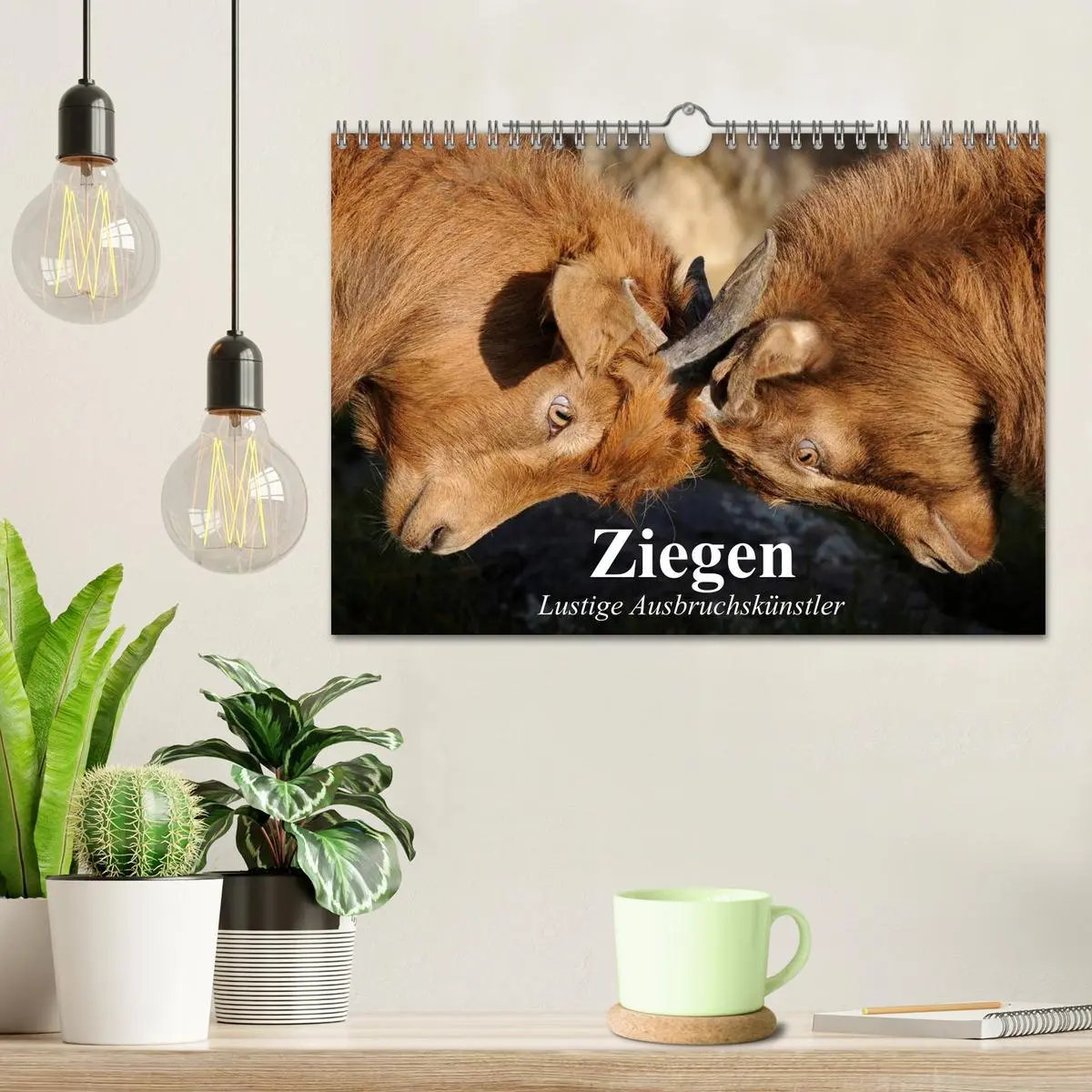 Bild: 9783457988688 | Ziegen. Lustige Ausbruchskünstler (Wandkalender 2026 DIN A4 quer),...