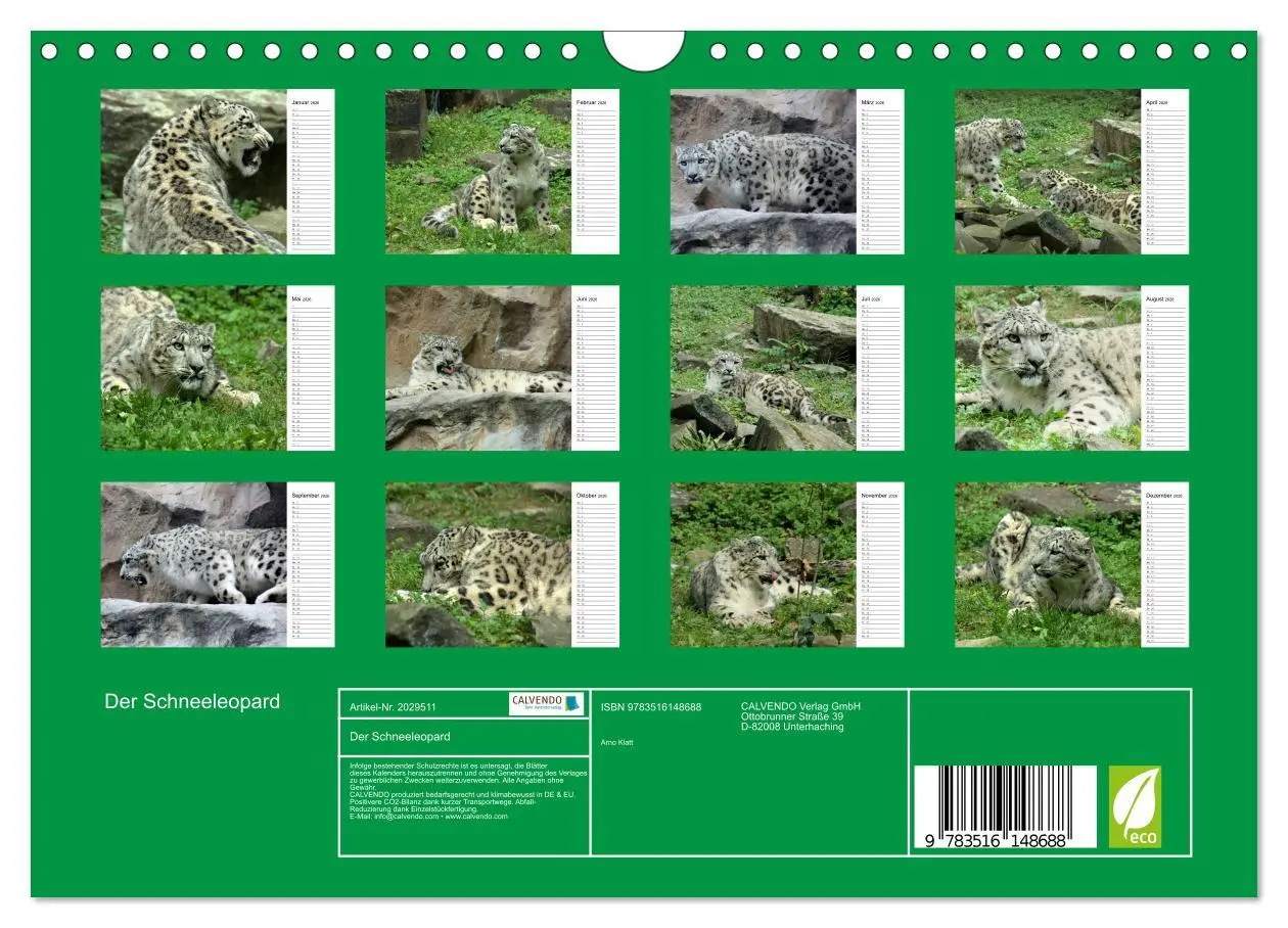 Bild: 9783516148688 | Der Schneeleopard (Wandkalender 2026 DIN A4 quer), CALVENDO...
