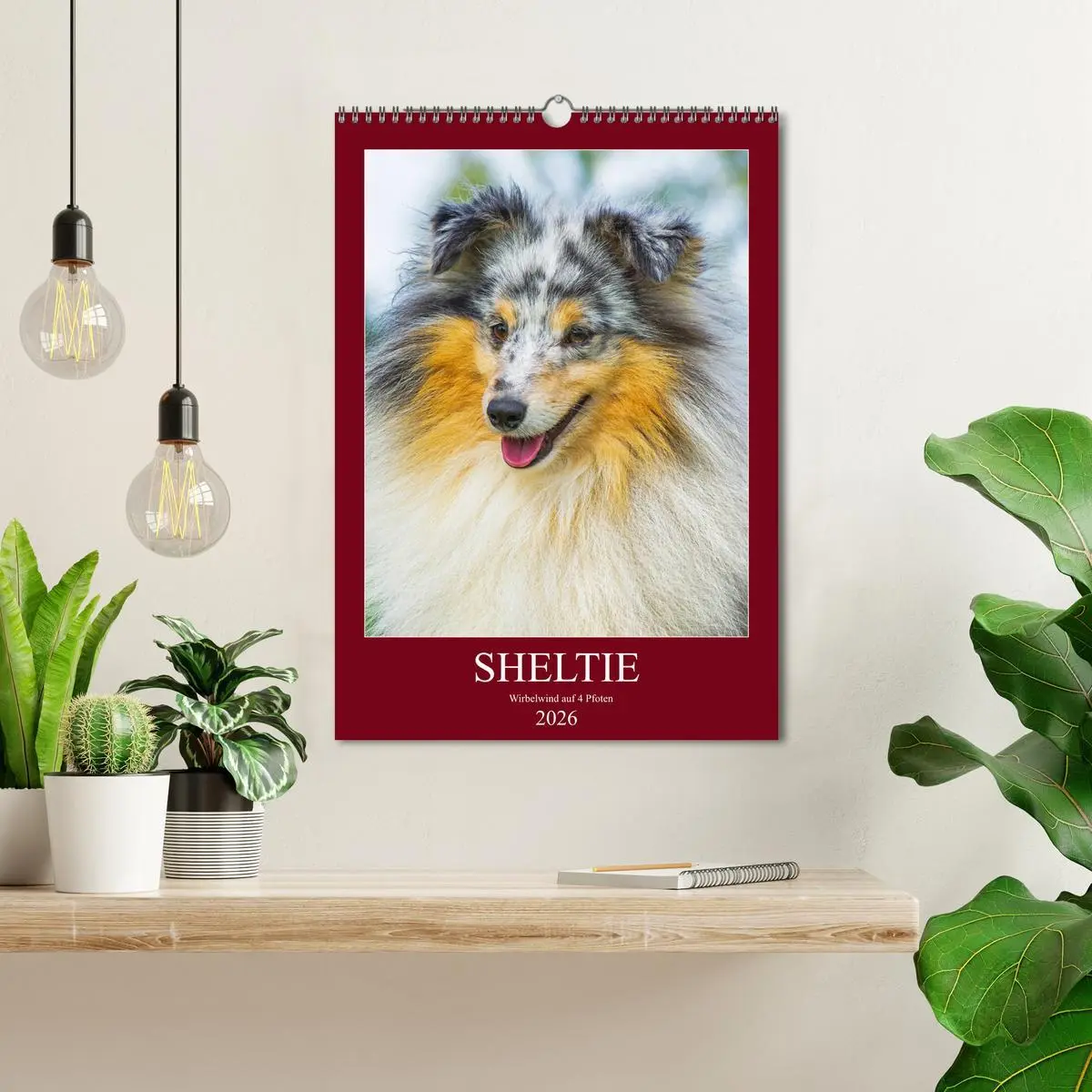 Bild: 9783516388688 | Sheltie - Wirbelwind auf 4 Pfoten (Wandkalender 2026 DIN A3 hoch),...