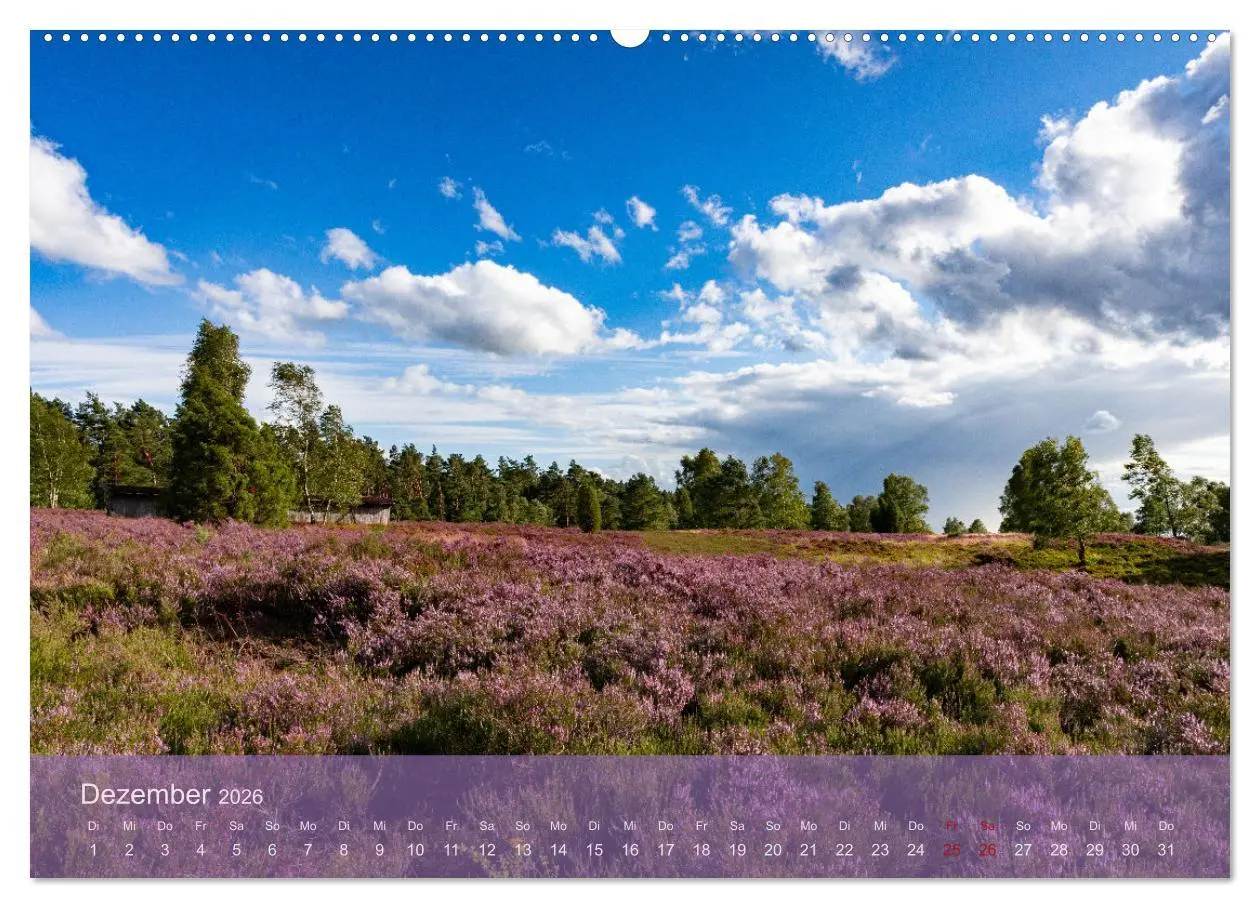 Bild: 9783457598788 | Naturschutzgebiet Lüneburger Heide (Wandkalender 2026 DIN A2 quer),...