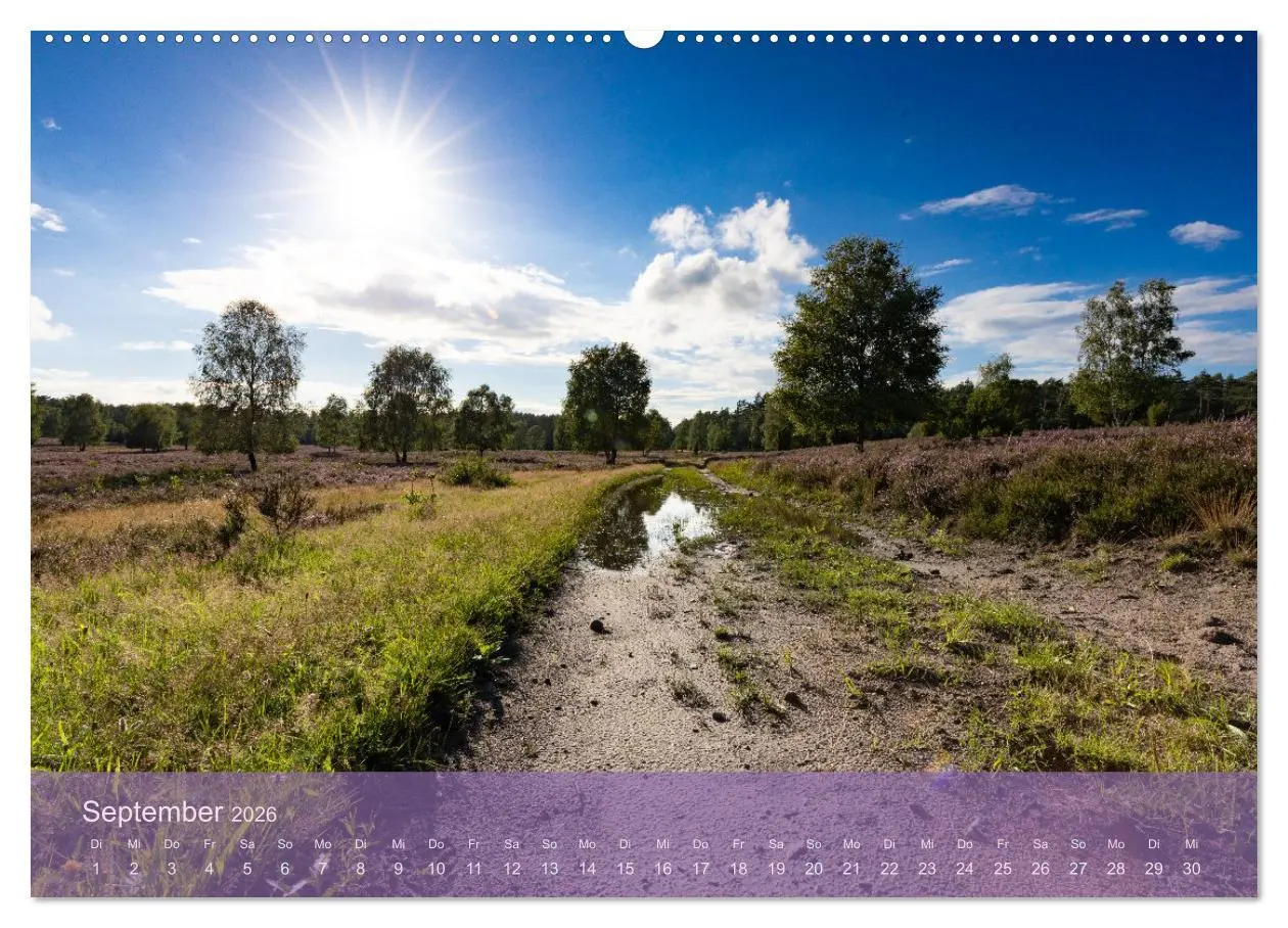 Bild: 9783457598788 | Naturschutzgebiet Lüneburger Heide (Wandkalender 2026 DIN A2 quer),...
