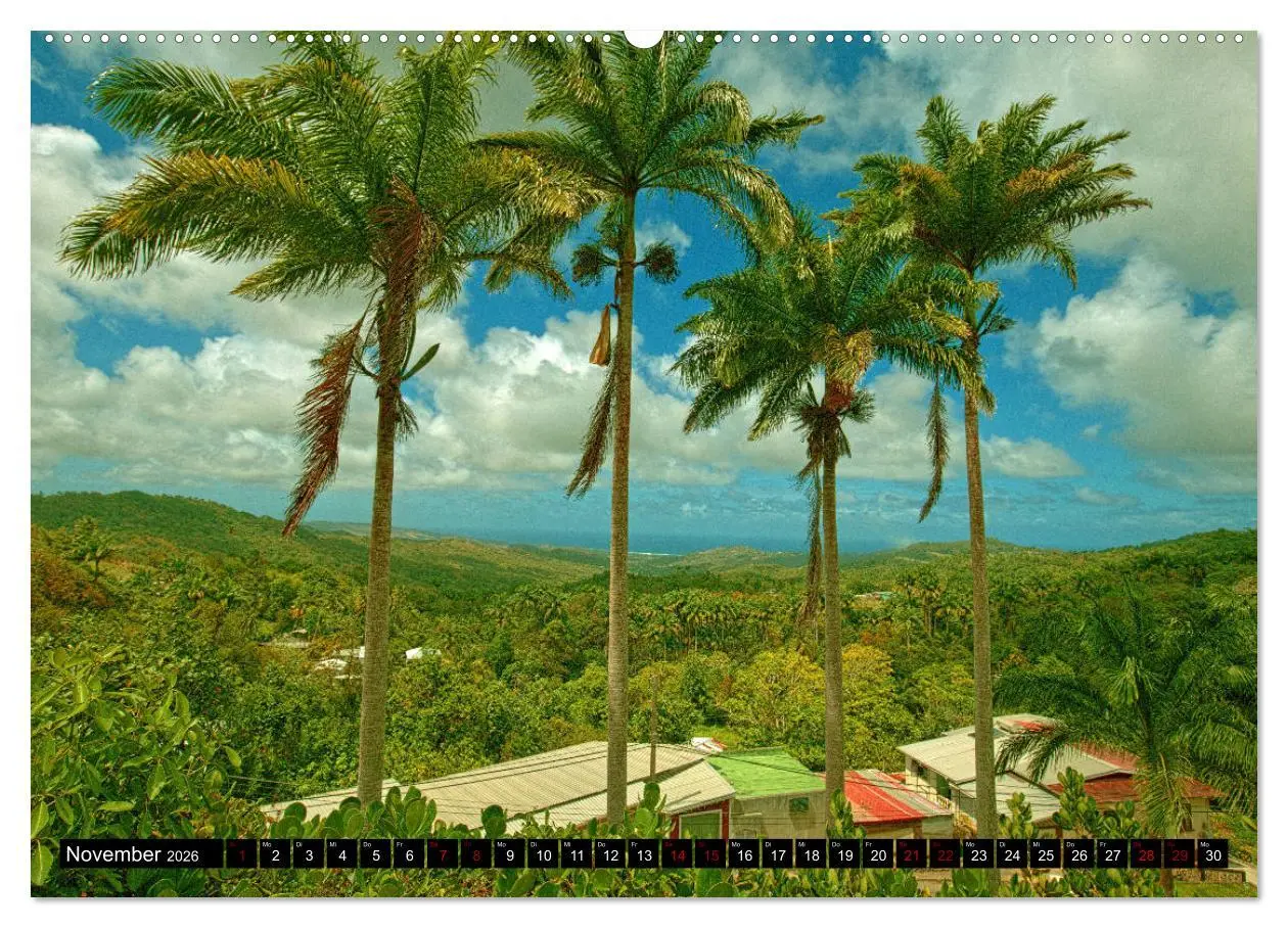 Bild: 9783457808788 | Barbados (Wandkalender 2026 DIN A2 quer), CALVENDO Monatskalender