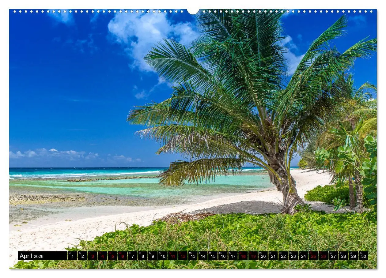 Bild: 9783457808788 | Barbados (Wandkalender 2026 DIN A2 quer), CALVENDO Monatskalender