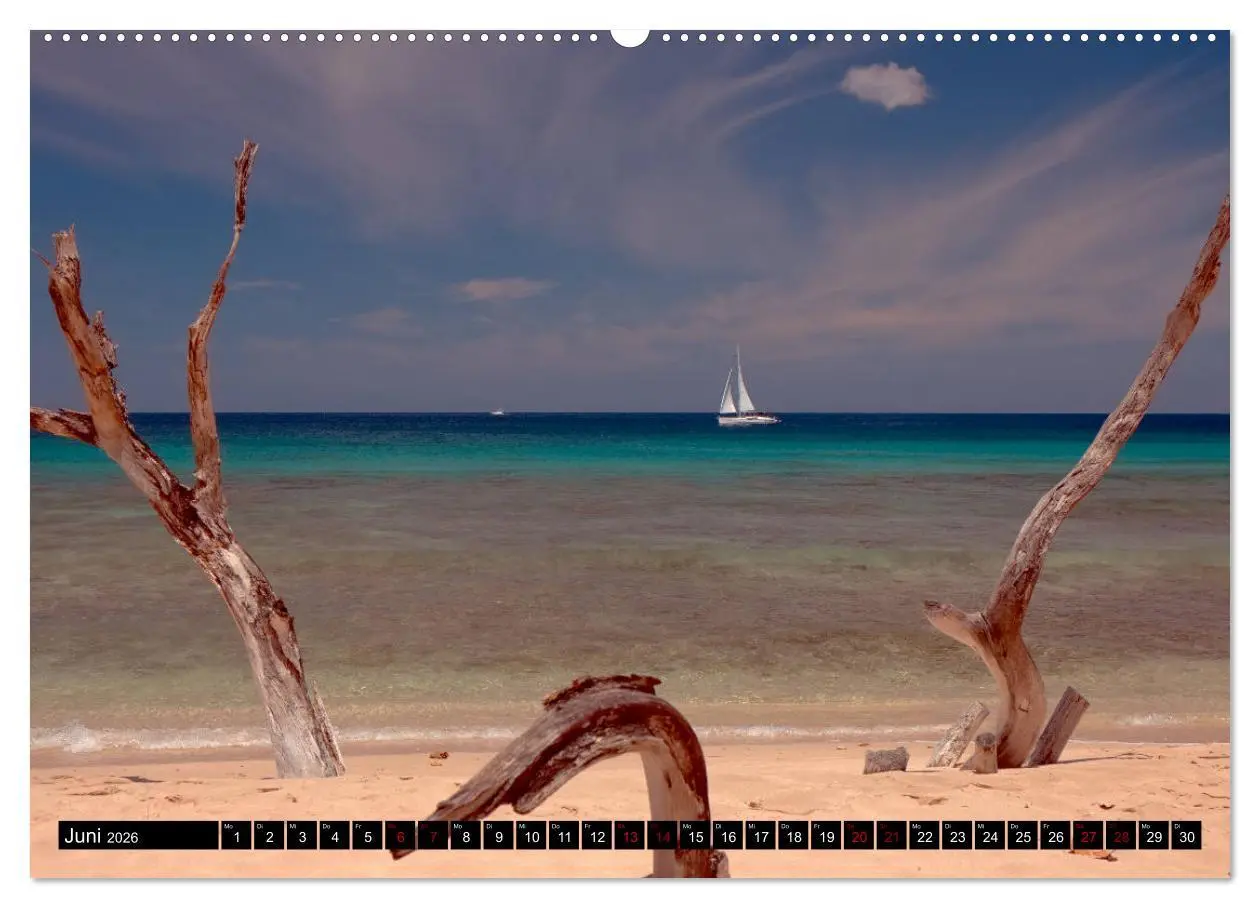 Bild: 9783457808788 | Barbados (Wandkalender 2026 DIN A2 quer), CALVENDO Monatskalender