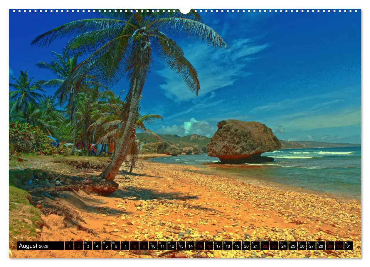 Bild: 9783457808788 | Barbados (Wandkalender 2026 DIN A2 quer), CALVENDO Monatskalender