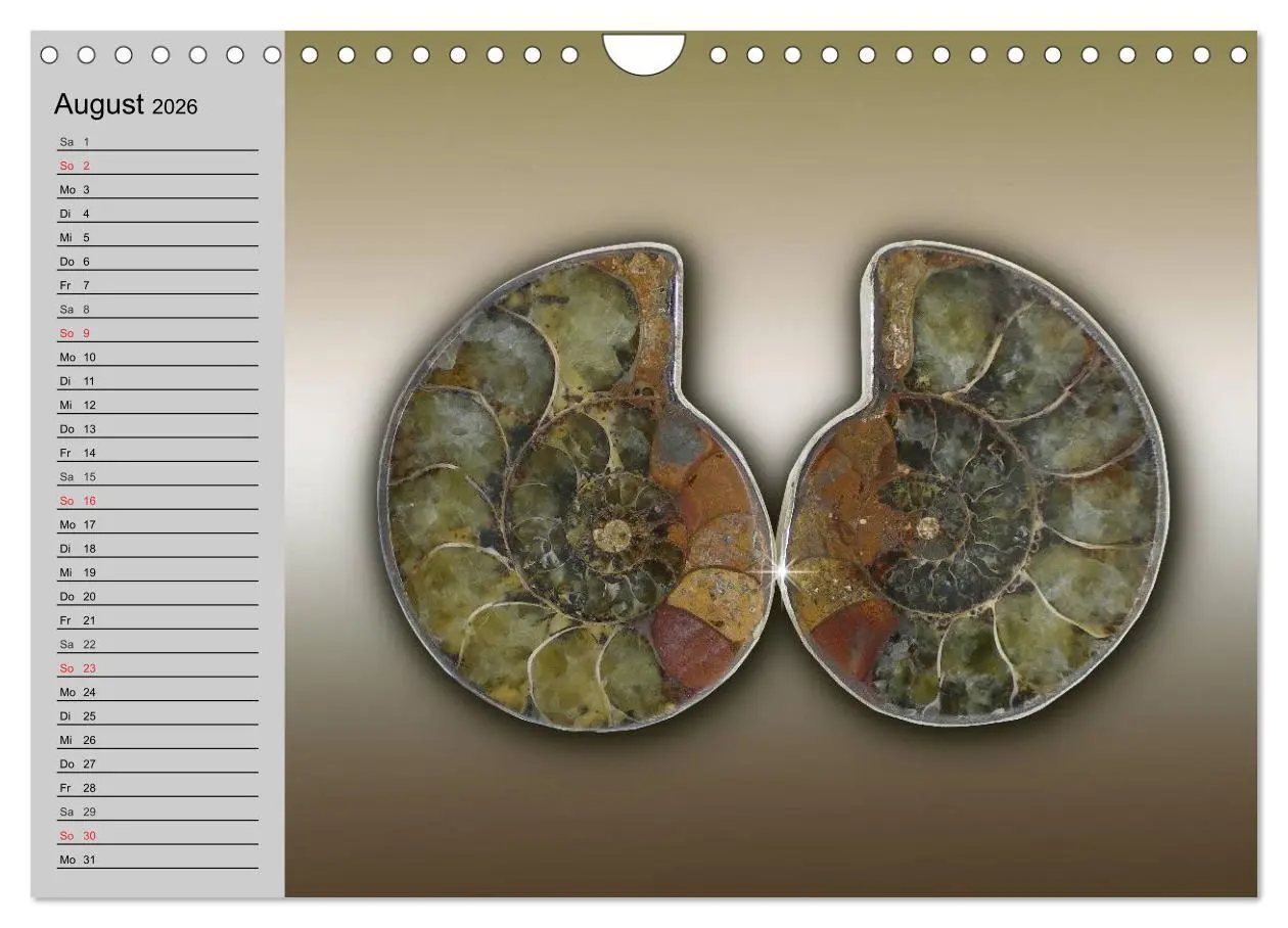 Bild: 9783457978788 | Minerale. Kristalle und Edelsteine (Wandkalender 2026 DIN A4 quer),...