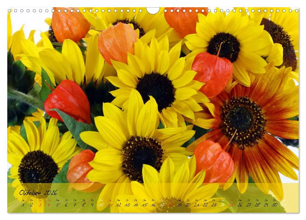 Bild: 9783516068788 | Blüten dicht an dicht (Wandkalender 2026 DIN A3 quer), CALVENDO...