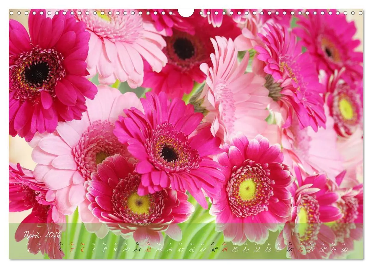 Bild: 9783516068788 | Blüten dicht an dicht (Wandkalender 2026 DIN A3 quer), CALVENDO...