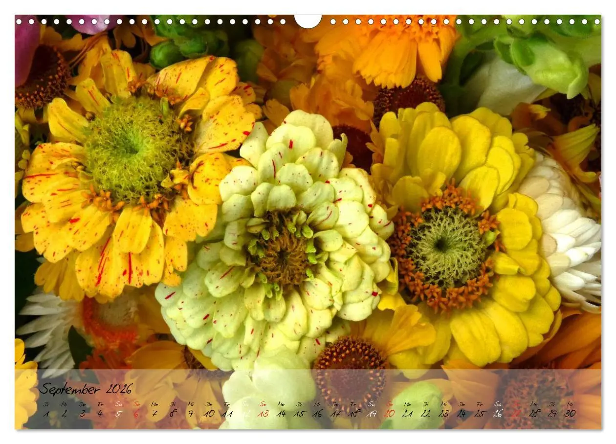 Bild: 9783516068788 | Blüten dicht an dicht (Wandkalender 2026 DIN A3 quer), CALVENDO...