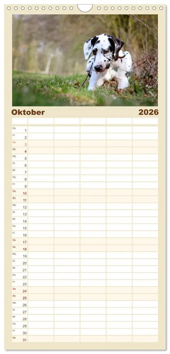 Bild: 9783516518788 | Familienplaner 2026 - Deutsche Doggen / Geburtstagskalender mit 5...