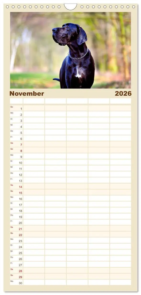 Bild: 9783516518788 | Familienplaner 2026 - Deutsche Doggen / Geburtstagskalender mit 5...