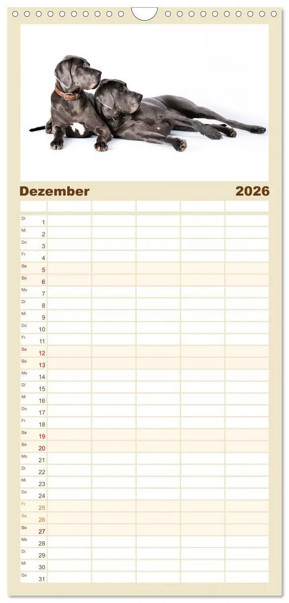 Bild: 9783516518788 | Familienplaner 2026 - Deutsche Doggen / Geburtstagskalender mit 5...