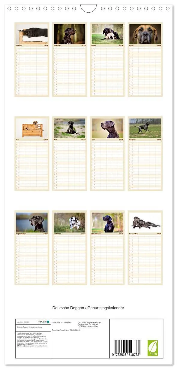 Bild: 9783516518788 | Familienplaner 2026 - Deutsche Doggen / Geburtstagskalender mit 5...