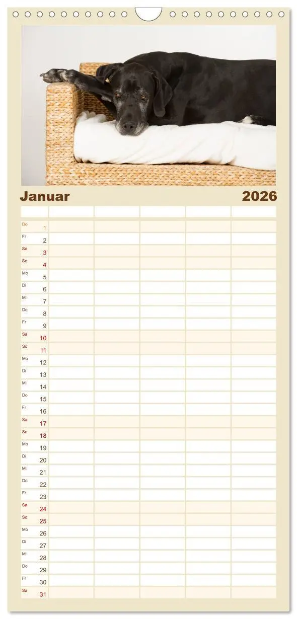 Bild: 9783516518788 | Familienplaner 2026 - Deutsche Doggen / Geburtstagskalender mit 5...