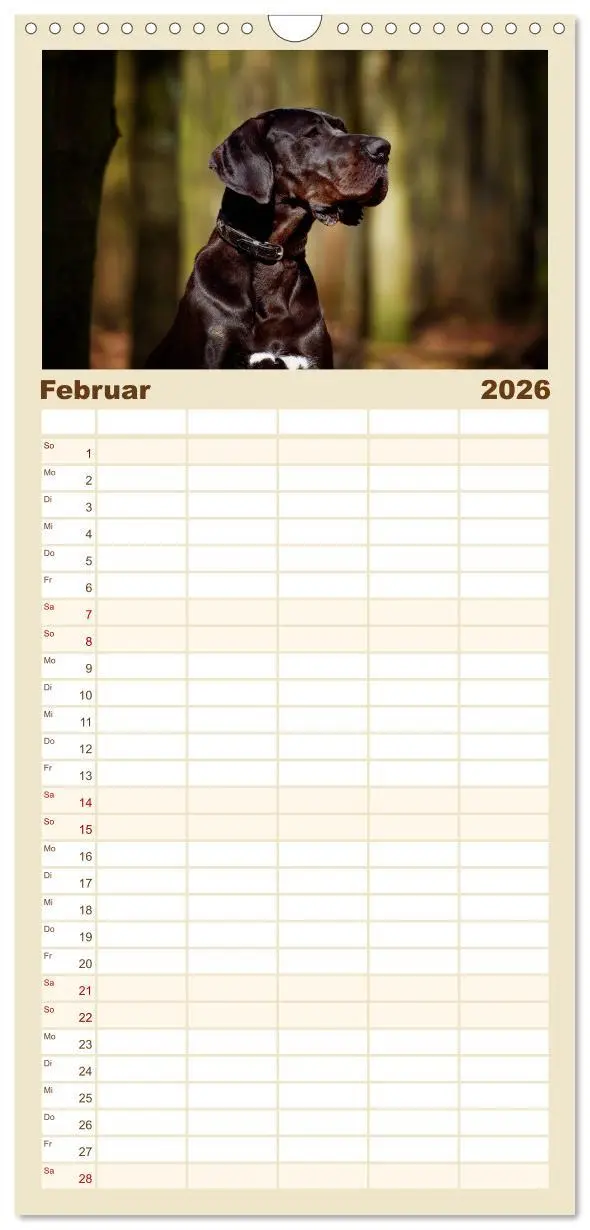 Bild: 9783516518788 | Familienplaner 2026 - Deutsche Doggen / Geburtstagskalender mit 5...