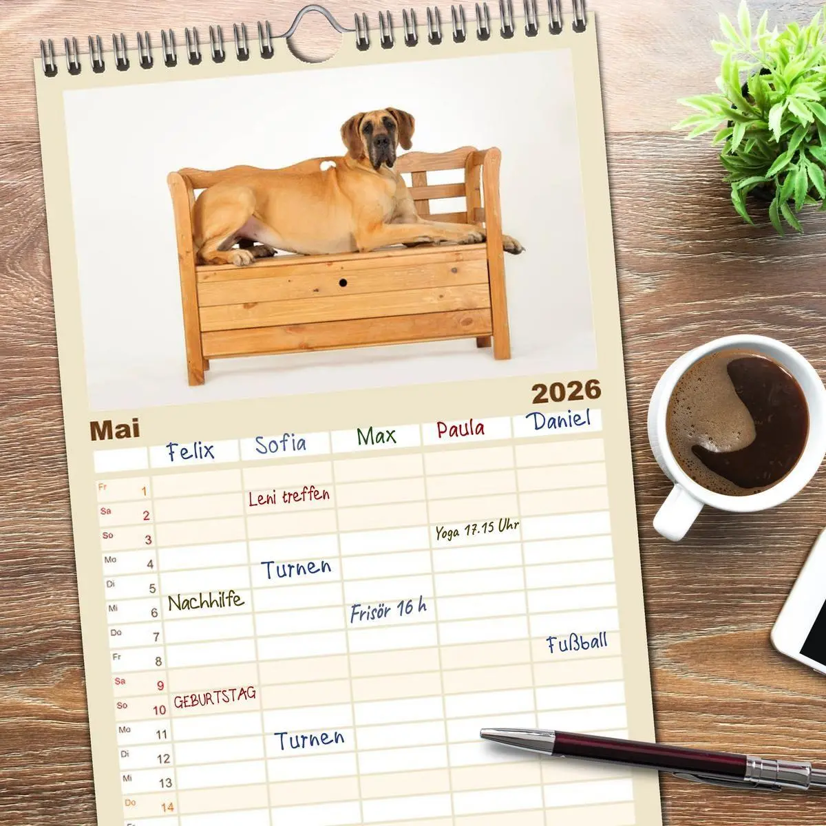 Bild: 9783516518788 | Familienplaner 2026 - Deutsche Doggen / Geburtstagskalender mit 5...