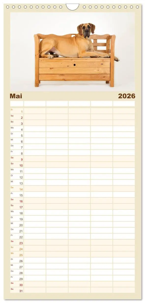 Bild: 9783516518788 | Familienplaner 2026 - Deutsche Doggen / Geburtstagskalender mit 5...