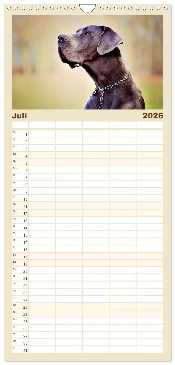 Bild: 9783516518788 | Familienplaner 2026 - Deutsche Doggen / Geburtstagskalender mit 5...