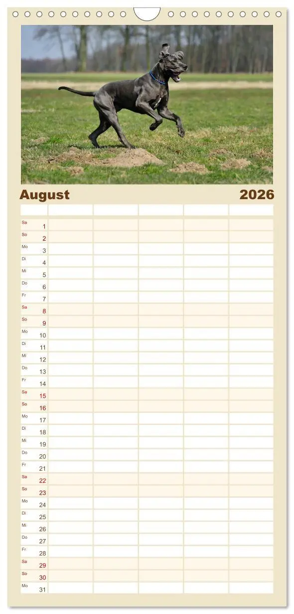Bild: 9783516518788 | Familienplaner 2026 - Deutsche Doggen / Geburtstagskalender mit 5...