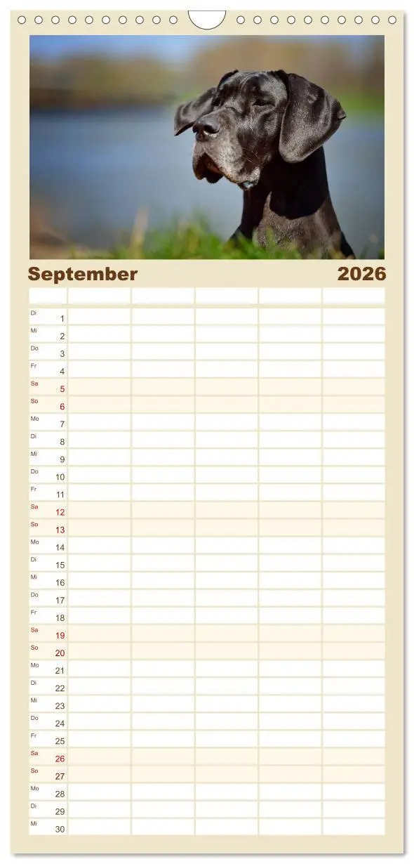 Bild: 9783516518788 | Familienplaner 2026 - Deutsche Doggen / Geburtstagskalender mit 5...