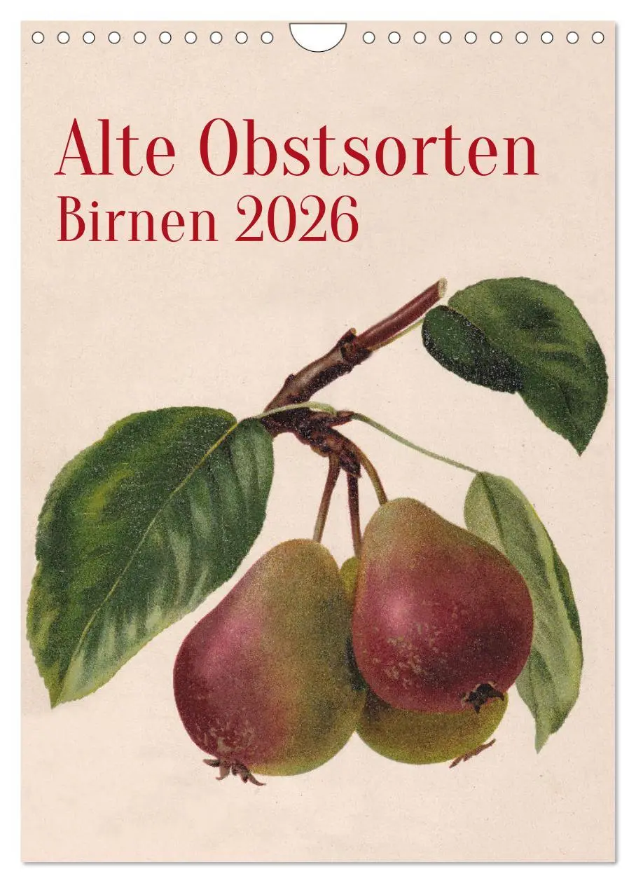 Cover: 9783516298888 | Alte Obstsorten - Birnen 2026 (Wandkalender 2026 DIN A4 hoch),...