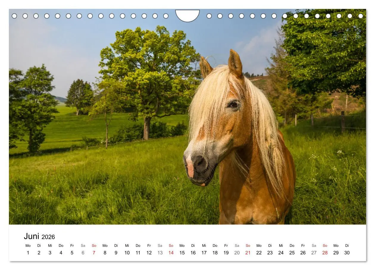 Bild: 9783457609088 | Wittgenstein - Eine Region mit beeindruckend schöner Landschaft...