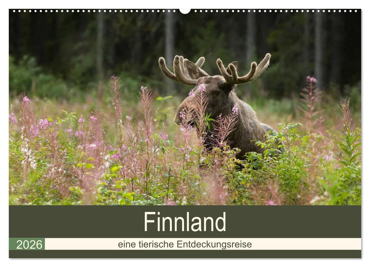 Cover: 9783457849088 | Finnland: eine tierische Entdeckungsreise (Wandkalender 2026 DIN A2...