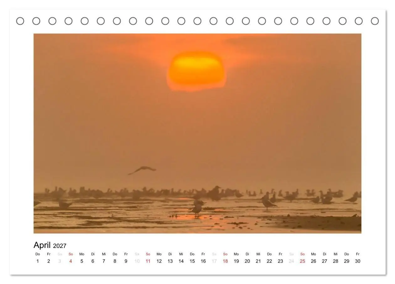 Bild: 9783594089088 | FEHMARN - Magische Momente (Tischkalender 2027 DIN A5 quer),...