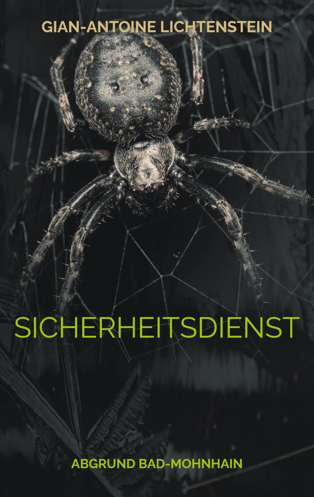 Cover: 9783769319088 | Sicherheitsdienst | Abgrund Bad-Mohnhain (Satire) | Lichtenstein