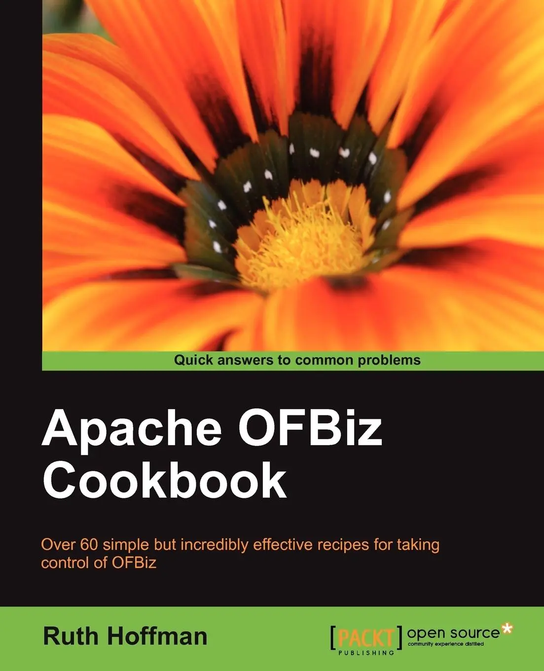 Cover: 9781847199188 | Apache Ofbiz Cookbook | Ruth Hoffman | Taschenbuch | Englisch | 2010