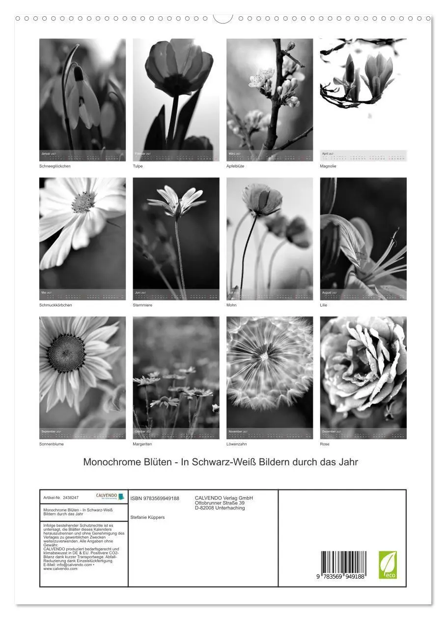 Bild: 9783569949188 | Monochrome Blüten - In Schwarz-Weiß Bildern durch das Jahr...