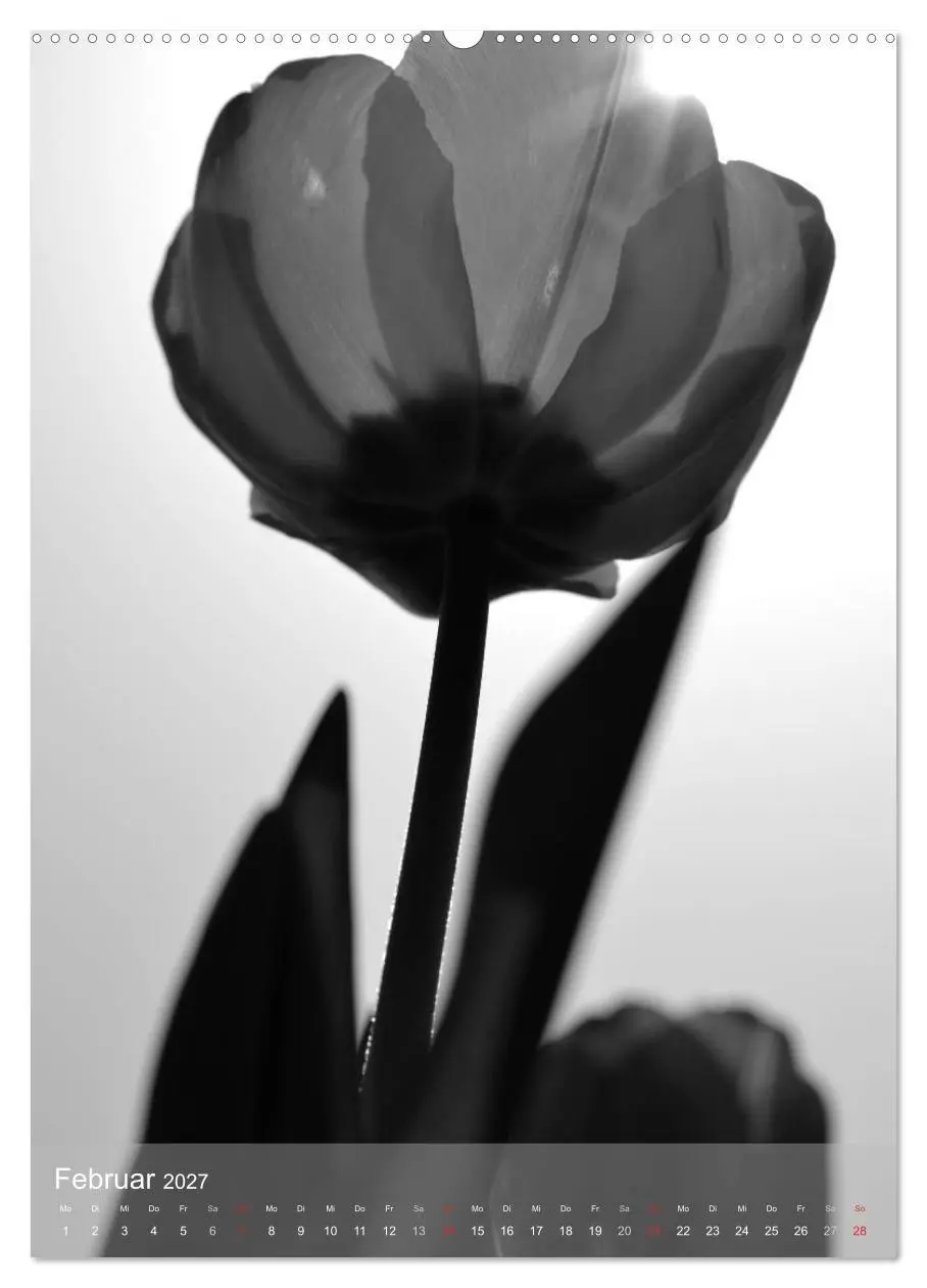 Bild: 9783569949188 | Monochrome Blüten - In Schwarz-Weiß Bildern durch das Jahr...