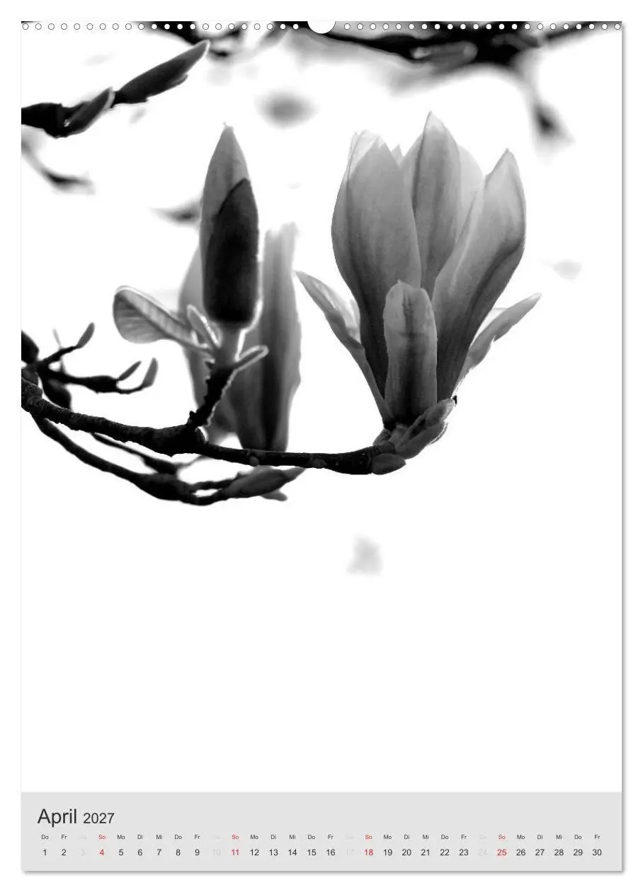 Bild: 9783569949188 | Monochrome Blüten - In Schwarz-Weiß Bildern durch das Jahr...
