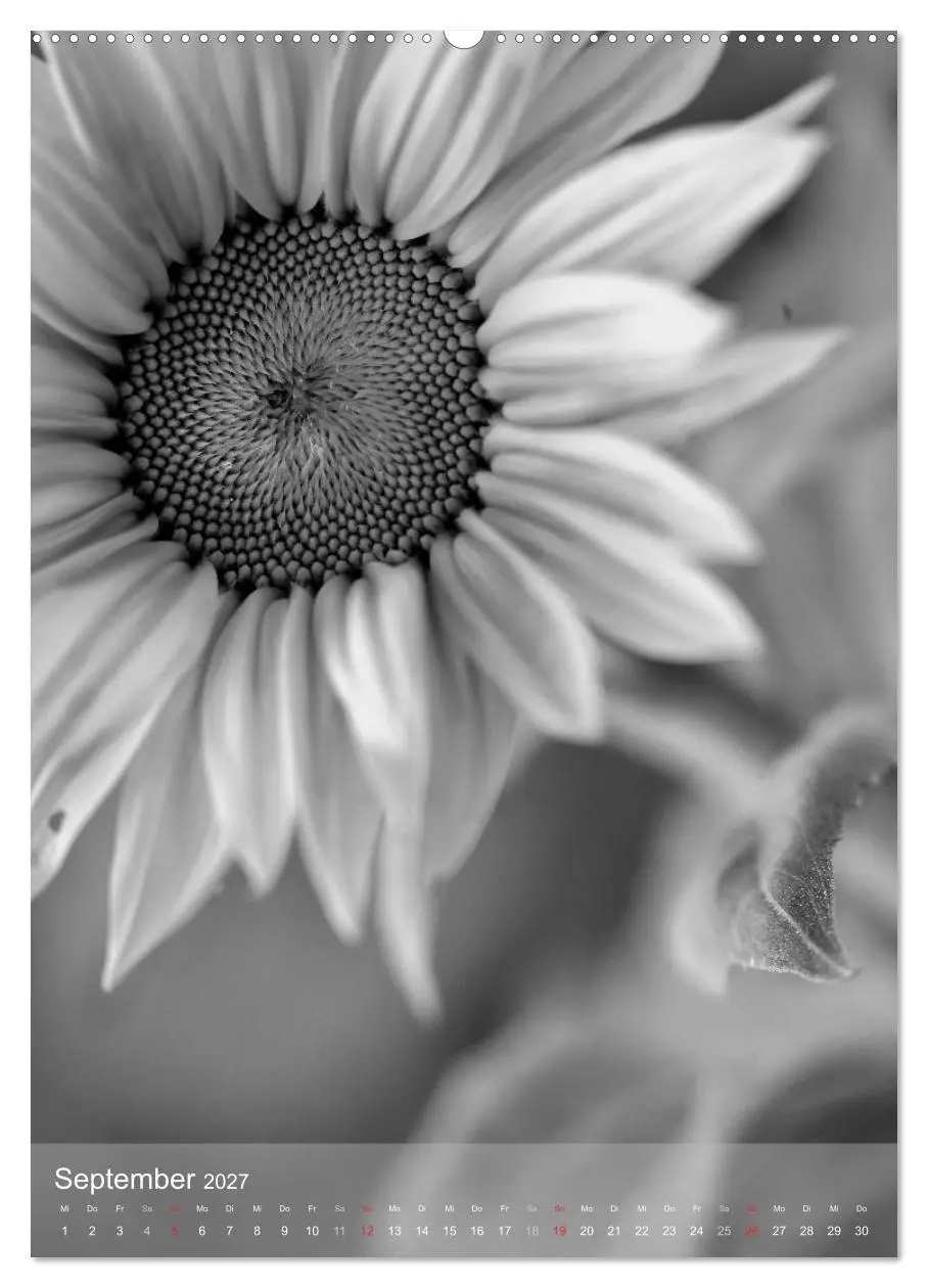 Bild: 9783569949188 | Monochrome Blüten - In Schwarz-Weiß Bildern durch das Jahr...