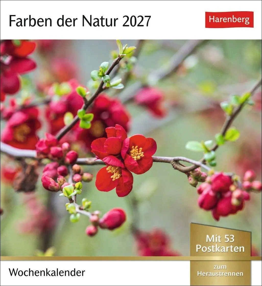 Cover: 9783840039188 | Farben der Natur Postkartenkalender 2027 - Wochenkalender mit 53...
