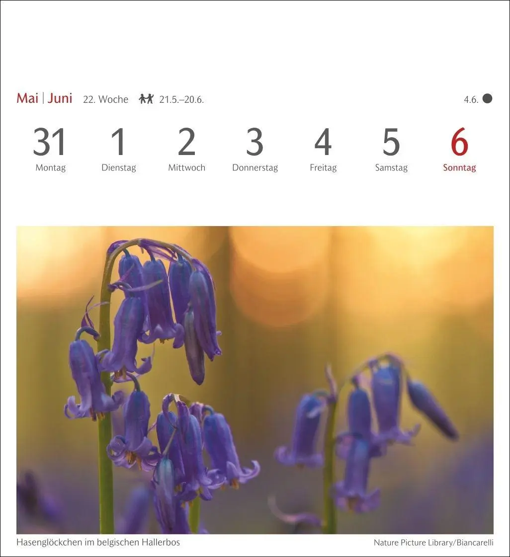 Bild: 9783840039188 | Farben der Natur Postkartenkalender 2027 - Wochenkalender mit 53...
