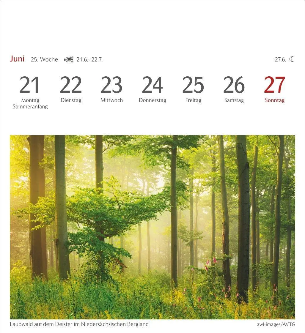 Bild: 9783840039188 | Farben der Natur Postkartenkalender 2027 - Wochenkalender mit 53...