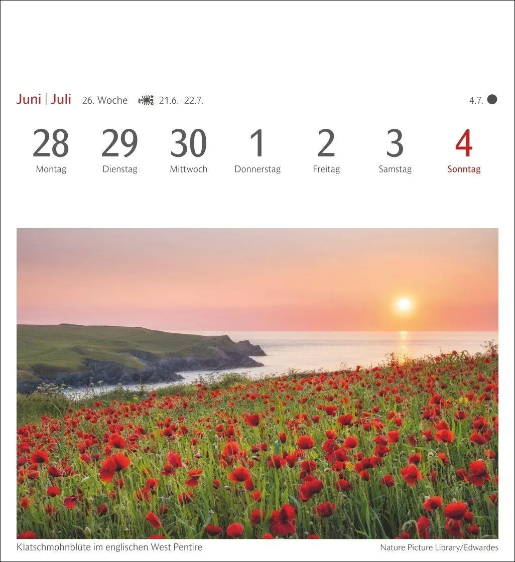 Bild: 9783840039188 | Farben der Natur Postkartenkalender 2027 - Wochenkalender mit 53...
