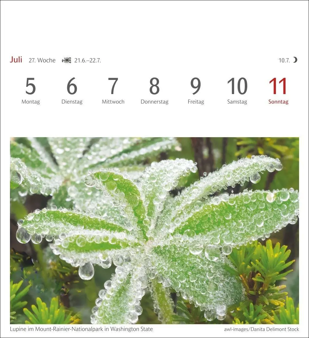 Bild: 9783840039188 | Farben der Natur Postkartenkalender 2027 - Wochenkalender mit 53...