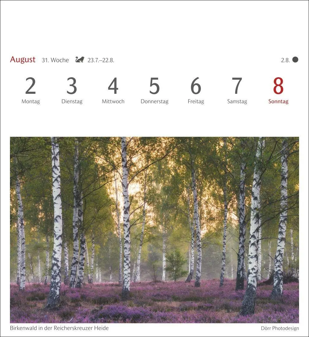 Bild: 9783840039188 | Farben der Natur Postkartenkalender 2027 - Wochenkalender mit 53...