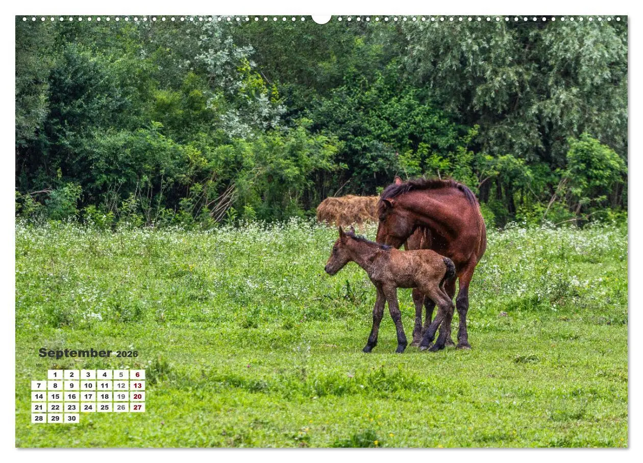 Bild: 9783457509388 | Kroatien - Entlang der Save (Wandkalender 2026 DIN A2 quer),...