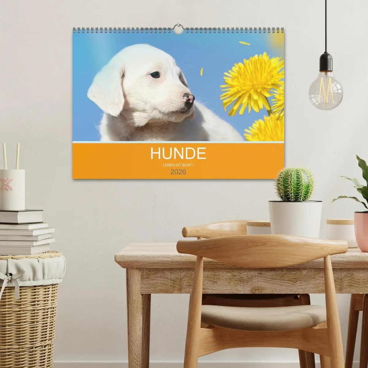 Bild: 9783457819388 | HUNDE LEBEN IST BUNT (Wandkalender 2026 DIN A3 quer), CALVENDO...