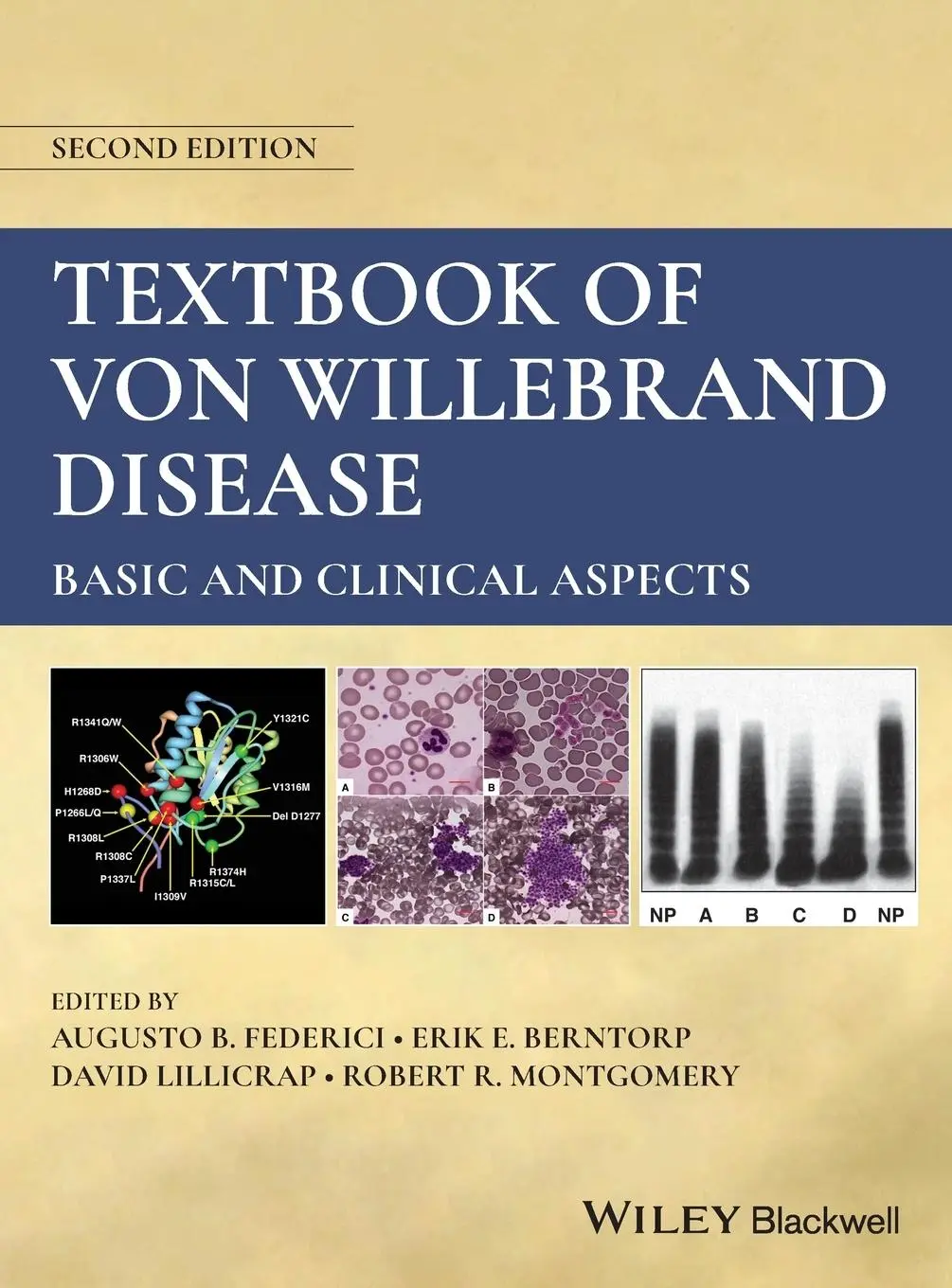 Cover: 9781119419488 | Textbook of Von Willebrand Disease | Basic and Clinical Aspects | Buch